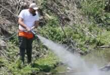 Περιφέρεια: Έκτακτη επίγεια εφαρμογή ψεκασμών στο Δήμο Ωρωπού