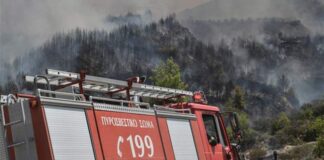 Πυρκαγιά: Δύο μέτωπα σε Κύθνο και Δυτική Μάνη