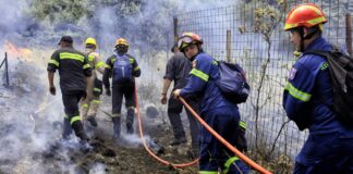 Πυρκαγιά: Ξέσπασε κοντά σε χωριό στη Νάξο