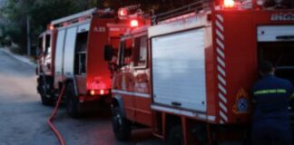 Πυρκαγιά: Σε δασική έκταση στην Πέρδικα της Αίγινας