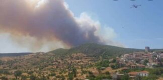 Πυρκαγιά: Σε δασική έκταση στο Αργοστόλι Κεφαλλονιάς