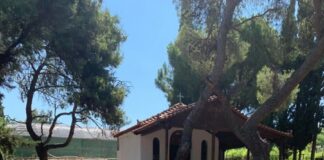 Πύρνα: Ένας πανέμορφος χώρος αναψυχής δημιουργήθηκε στη Λυκόβρυση