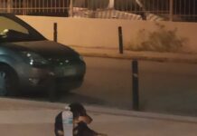 Σκύλος: Και τα ζωάκια θέλουν λίγο κρύο νερό να πιουν