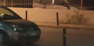 Σκύλος: Και τα ζωάκια θέλουν λίγο κρύο νερό να πιουν