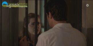 Άγριες Μέλισσες: Δείτε τα επόμενα επεισόδια της επόμενης εβδομάδας