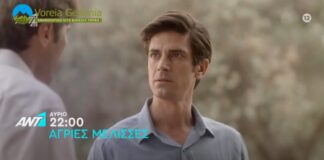 Άγριες Μέλισσες: Δείτε το επεισόδιο που θα δούμε σήμερα