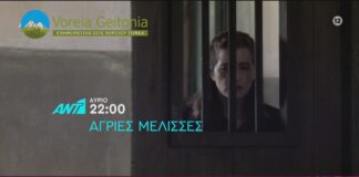 Άγριες Μέλισσες: Δείτε το επεισόδιο για αύριο Παρασκευή 18-09