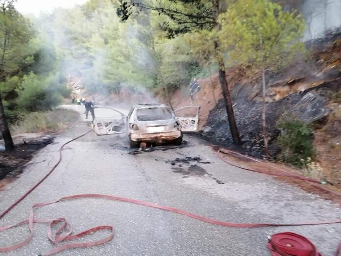 FB_IMG_1603486879121