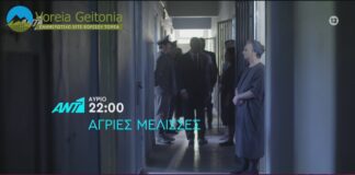 Άγριες Μέλισσες: Δείτε το επεισόδιο που θα δούμε αύριο Πέμπτη 29 Οκτωβρίου 2020