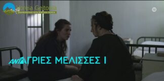 Άγριες Μέλισσες: Δείτε το επεισόδιο που θα δούμε σήμερα Παρασκευή 23 Οκτωβρίου 2020