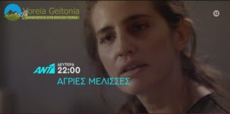 Άγριες Μέλισσες: Δείτε το επεισόδιο που θα δούμε την Δευτέρα 26 Οκτωβρίου 2020