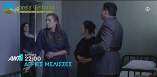 Άγριες Μέλισσες: Δείτε το επεισόδιο που θα δούμε σήμερα Τετάρτη 4 Νοεμβρίου