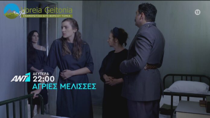 Άγριες Μέλισσες Δείτε το επεισόδιο της Δευτέρας 2 Νοεμβρίου 2020-voreiageitonia3110 (3)