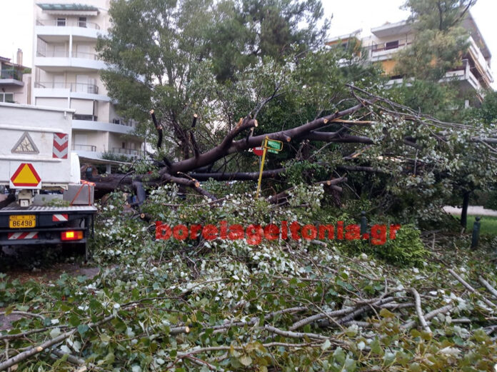 Τήνου και Θεμιστοκλέους Πτώσεις δέντρων και στον δήμο Χολαργού από την βροχόπτωση -voreiageitonia1310 (4)