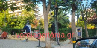 Χρήστος Πετράκης: Κλάδεμα της πλατείας Κωστή Παλαμά