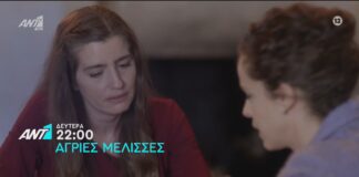 Άγριες Μέλισσες: Δείτε το επεισόδιο που θα δούμε την Δευτέρα 30 Νοεμβρίου 2020