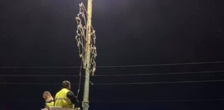 Μιχάλης Τράκας: Επιβλέπει τον στολισμό στον δήμο Παπάγου – Χολαργού