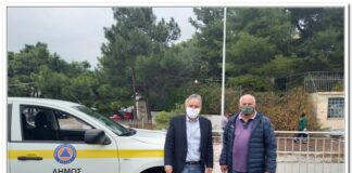 Πετράκης- Γιαννακόπουλος : Άμεση επέμβαση και κοπή του πεσμένου δέντρου σε καλώδια