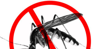 Δήμο Μεταμόρφωσης: 14ος Κύκλος Καταπολέμησης των κουνουπιών.