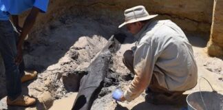 Η αρχαιότερη ξύλινη κατασκευή στον κόσμο, ηλικίας 476.000 ετών, ανακαλύφθηκε στην Αφρική.