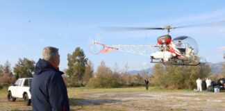 Περιφέρεια Αττικής: Κανένα κρούσμα και φέτος του ιού του Δυτικού Νείλου στην Αττική.