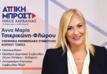 Άννα Μαρία Τσικρικώνη-Φλώρου: Υποψήφια Περιφερειακή Σύμβουλος στα Βόρεια