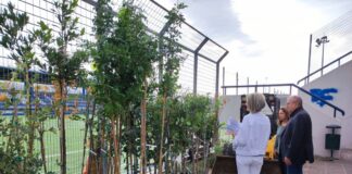 ΔΗΜΟΣ ΗΡΑΚΛΕΙΟΥ & ΓΕΩΠΟΝΙΚΟ ΠΑΝΕΠΙΣΤΗΜΙΟ ΣΥΝΕΡΓΑΖΟΝΤΑΙ ΓΙΑ ΤΗΝ ΑΝΑΝΕΩΣΗ ΤΟΥ ΠΡΑΣΙΝΟΥ ΤΗΣ ΠΟΛΗΣ