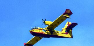 Τραγωδία στην Εύβοια: Έπαθε εγκεφαλικό την ώρα που η φωτιά …