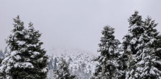 Ο Δήμος φιλοξενεί Αστέγους και όσους έχουν ανάγκη