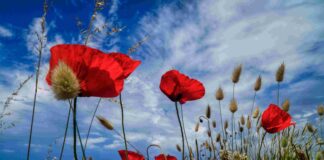 Ο Καιρός την Κυριακή