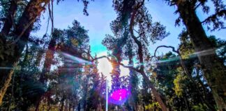 Ο Καιρός το Σάββατο