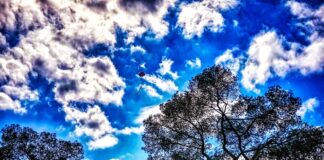 Γενικά αίθριος ο καιρός αύριο