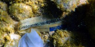 WWF Oι ελληνικές παραλίες πνίγονται στα πλαστικά.