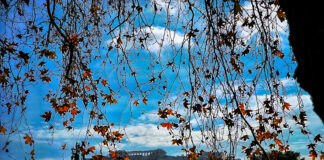 Ο καιρός για Πέμπτη