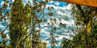 ο καιρός για Σάββατο