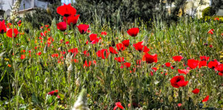 Ο Καιρός για την Τετάρτη