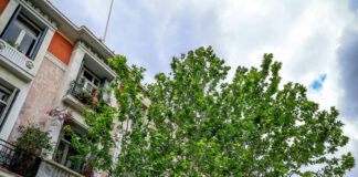 Ο καιρός για το Σάββατο