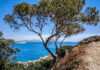 Ο καιρός για την Τρίτη