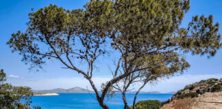 Ο καιρός για την Τρίτη