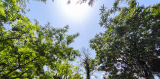 Ο καιρός για την Πέμπτη