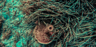 Ο φακός του Γιώργου Κονταρίνη αποκαλύπτει:Εικόνες εγκατάλειψης στον βυθό του Ιονίου