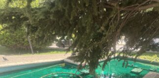 Μέτρα προστασίας από τον καύσωνα – Συστάσεις προς τους πολίτες και ειδικά τις ευάλωτες ομάδες