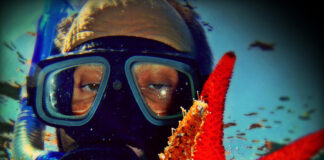 Αστερίες: Τα αινιγματικά πλάσματα του βυθού