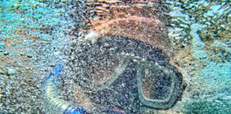 Μια Βουτιά Σήμερα Ίσως Η Μόνη Που Μετράει