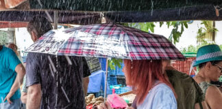 Τοπικές καταιγίδες και ζέστη έως 36°C την Τετάρτη ωση