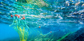 «Φονικά Δίχτυα: Τα Εγκαταλελειμμένα Απειλούν Θάλασσες και Ζωή»