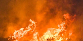 Αχαΐα: Ολονύχτια μάχη με τις φλόγες – Καίγονται σπίτια (Φωτογραφίες)