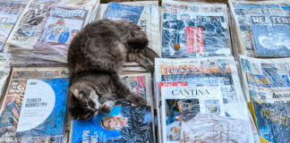 Όταν η αβλεψία φοράει κοστούμι: η τέχνη του επιλεκτικού αποκλεισμού