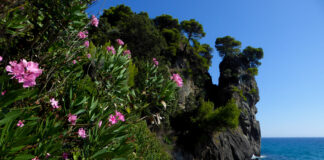 Κυριακή με αίθριο καιρό – Άνοδος θερμοκρασίας έως 32°C και τοπικοί άνεμοι