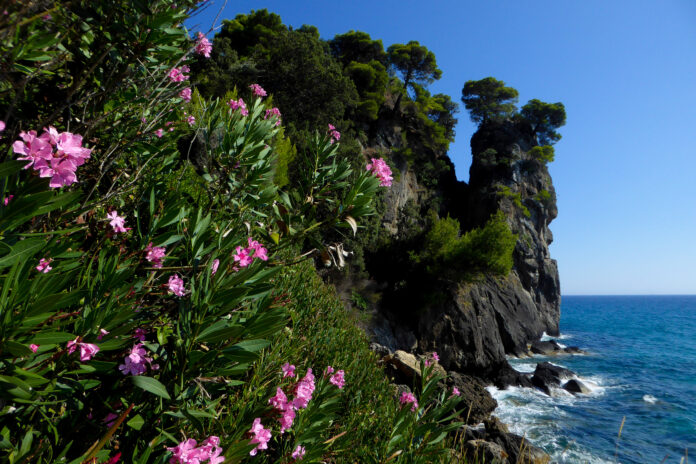 ΚΕΡΚΥΡΑ ΠΕΛΕΚΑΣ ΠΑΡΑΛΙΑ ΓΙΑΛΙΣΚΑΡΙ (ΚΟΝΤΑΡΙΝΗΣ ΓΙΩΡΓΟΣ EUROKINISSI)